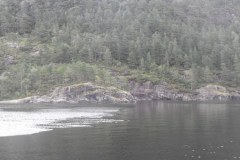 Bergen-Fjords-2010-Lihi-Laszlo_93