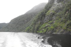Bergen-Fjords.1-2010-Lihi-Laszlo_11